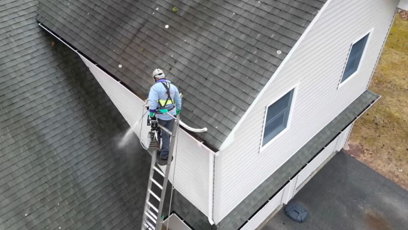 Importance of Regular Roof Cleaning