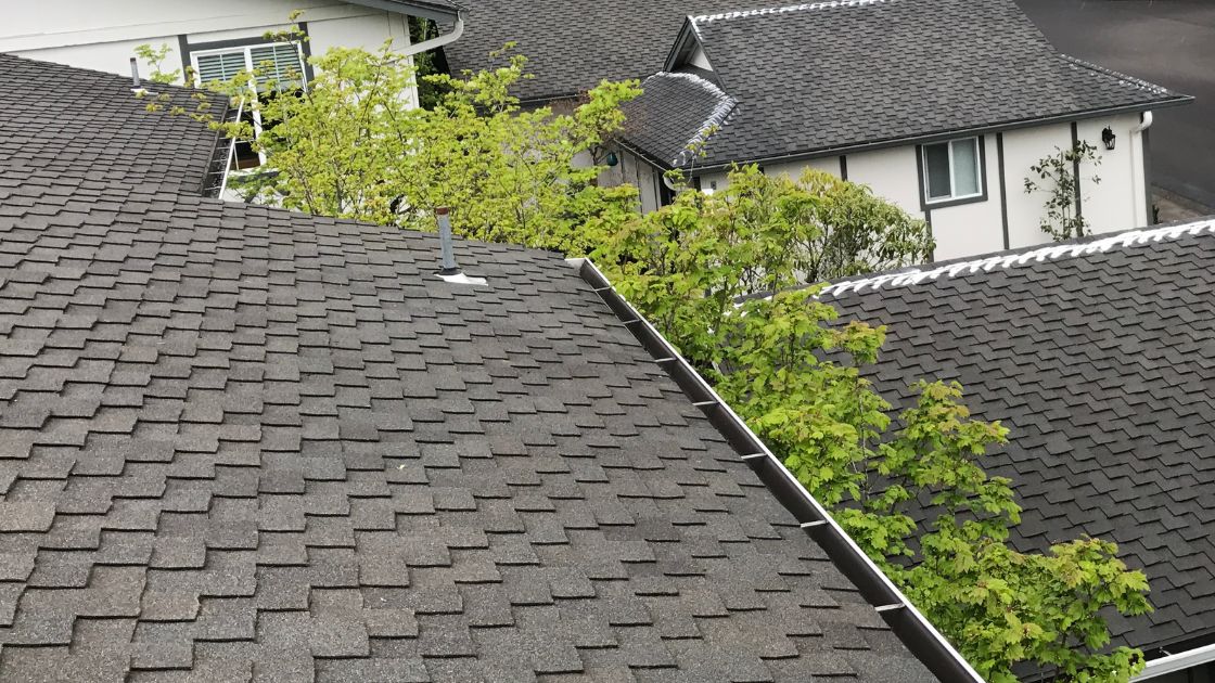 gutter cleaning, gutter cleaning near me