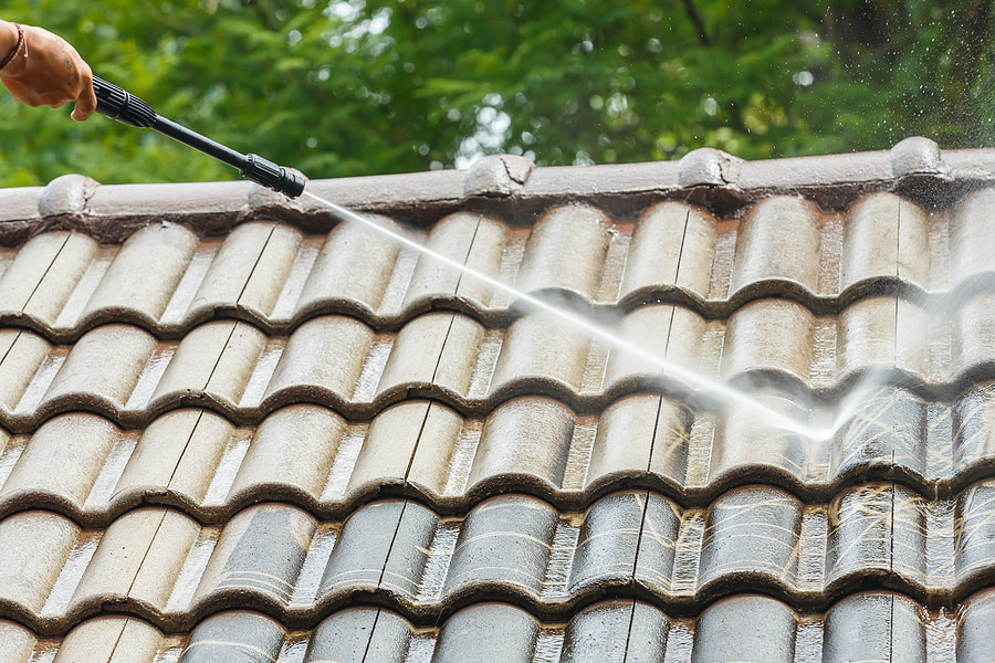 roof cleaning services, gutter cleaning services